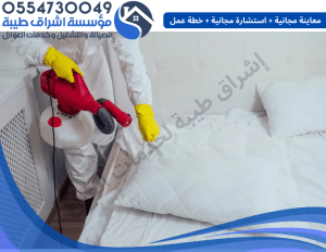 شركة رش المبيدات الحشرية